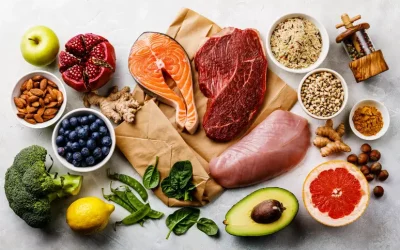 Como o corpo absorve nutrientes: do prato ao músculo